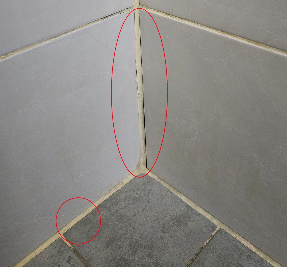Faulty Leaking Shower